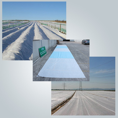 White Uv Treated Agriculture Non Woven Fabric Spunbond Frost Plant Protection