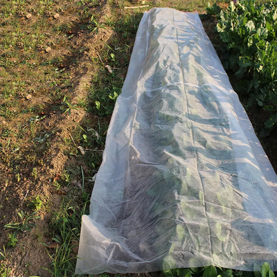100gsm Greenhouse Plastic Film Agricultural Uv Treated Nonwoven Industrial Grade Pe Film