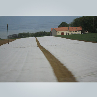 Spunbond Nonwoven Floating Row Cover For Cold Weather Freeze Protection