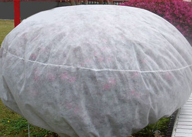 Spunbond Non Woven Agriculture Cover Fabric , Landscape PP Fabrics for Green House