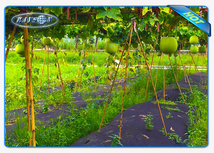 Enviro Vegetable Garden Weed Barrier Anti Uv Polypropylene Non