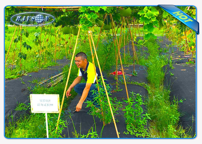 Enviro Vegetable Garden Weed Barrier Anti Uv Polypropylene Non
