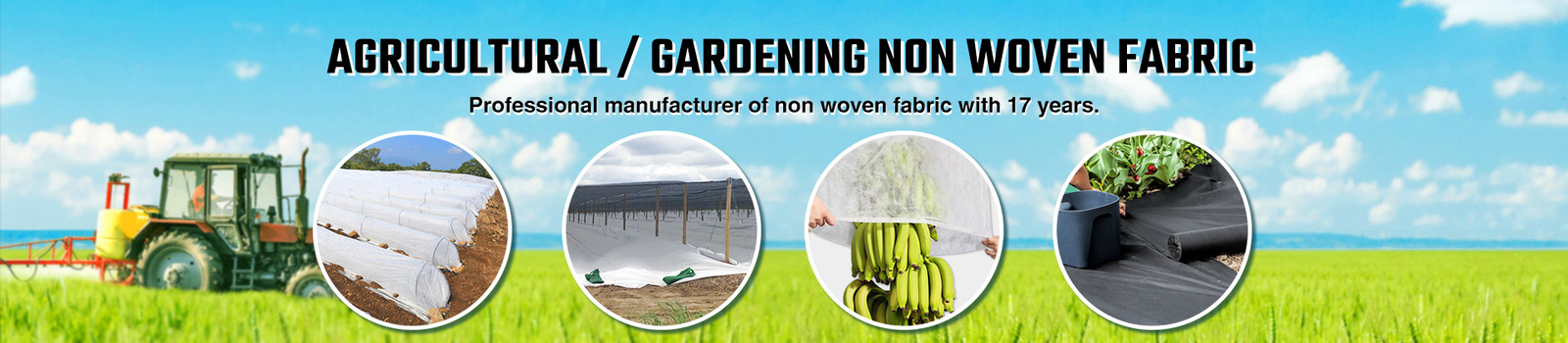Non Woven Fabric Rolls