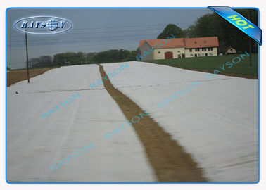 Agriculture Water Permeable 22Gsm Polypropylene Non Woven Fabric