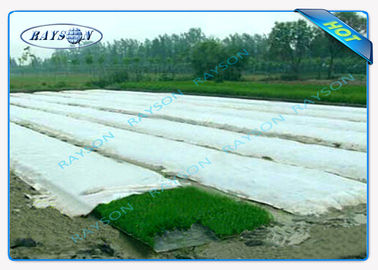 Durable Eco - Friendly Garden Weed Control Fabric Farm Mulch Film Use Agriculture Non Woven Cover