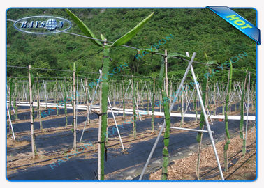 Enviro Anti UV Polypropylene Garden Weed Control Fabric / Mat for LandscapeAgriculture Non Woven Cover
