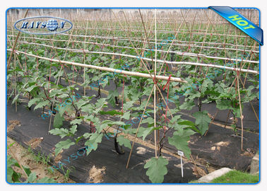 70gsm Agriculture Non Woven Cover , PP Nonwoven Fabric For Agricultute Weed Control Matting