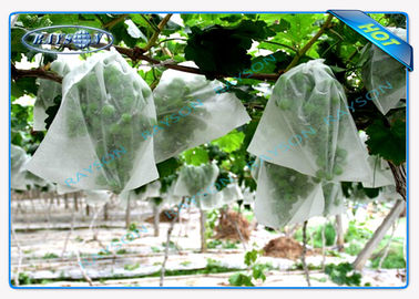 Soft Feeling Polypropylene Non Woven Fabric Landscape Crop Cover