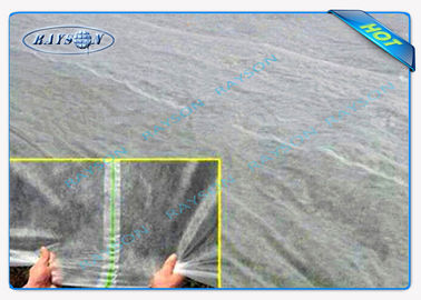 UV Protection 100% Polypropylene Landscape Fabric , Maximun Width 25.6m