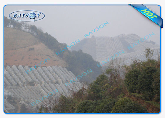 Agricultural Non Woven Landscape Fabric