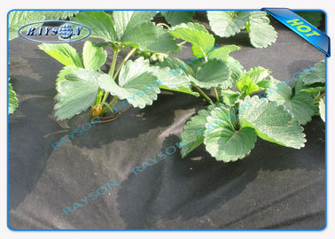 Seasame Dot PP Agriculture Non Woven Cover Non Woven Biodegradable