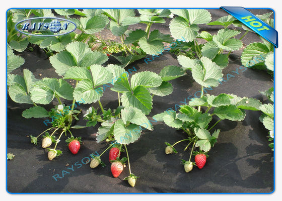 Biodegradable Landscape Fabric