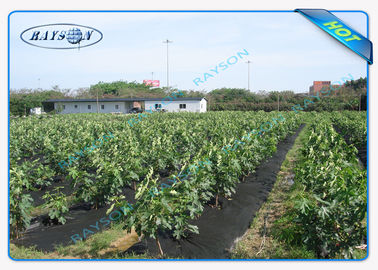 Eco - Friendly Agriculture Non Woven Cover , UV Stabilized Agriculture PP Nonwoven