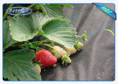 Air Permeable Weed Proof Commercial Grade Landscape Fabric Non Woven