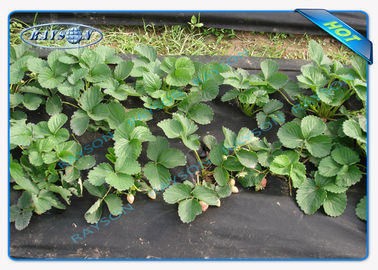 Winter Keep Heat / Fertilizer Agriculture Non Wover Cultivating Seedling Ground Cover