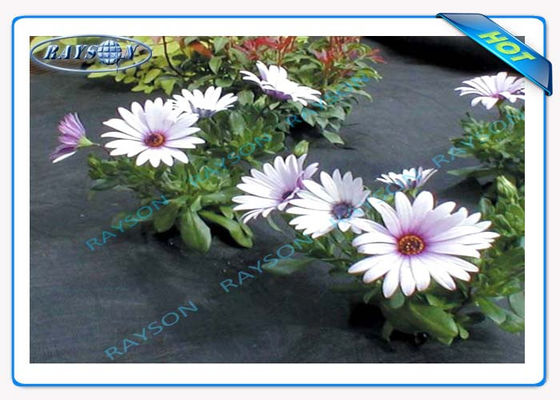 Biodegradable Weed Control Fabric