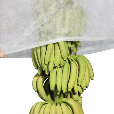 Breathable Spun Bond Non Woven Banana Bunch Cover In White Color
