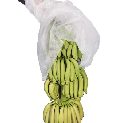 Breathable Spun Bond Non Woven Banana Bunch Cover In White Color