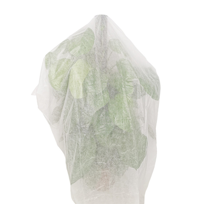 Eco Friendly Agriculture Plant Cover Biodegradable PP Non Woven Banana Bag