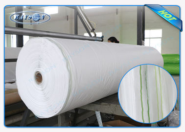 Biodegradable And Breadable 23gr Pp Spunbond Non Woven Agriculture Fabric
