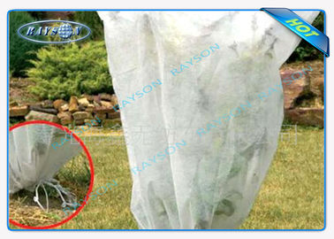 3%UV Pp Spunbond Agriculture Nonwoven Fabric For Plant Protection Agriculture Non Woven Cover