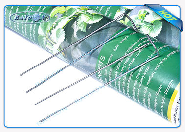 Agrotextile PP Spunbond Agriculture Non Woven Cover With UV Protection