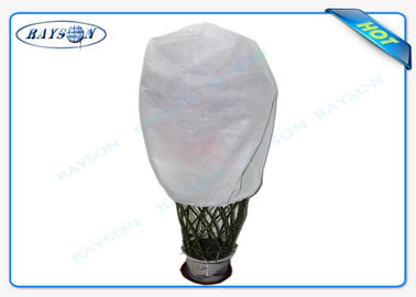 Agriculture Non Woven Cover Control Fabric PP Spunbond Nonwoven Fabric With 3% UV