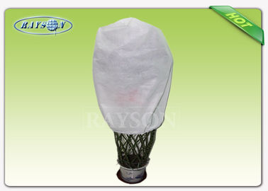 Environment PP Non Woven Fabric with Anti-UV Used for Agriculture Non Woven Cover