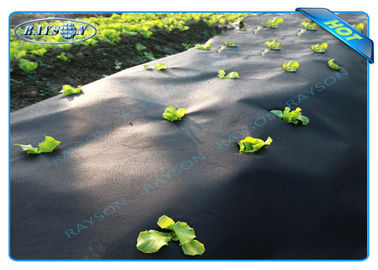 Black Agriculture Non Woven Cover For Healthy Growth