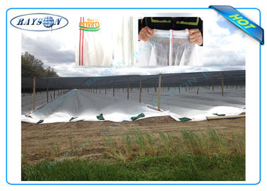 Black or White 3% UV Degradable PP Non Woven Landscape  Fabric for Mulch Film or Plant Coverings