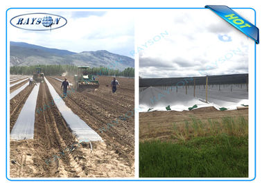 Anti UV PP Non Woven Landscape Fabric for Agricultural Area as Ground Coverings or Plant Bags