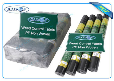 Biodegradable Non Woven Landscape Fabric Roll Packing for Garden Plant Protection