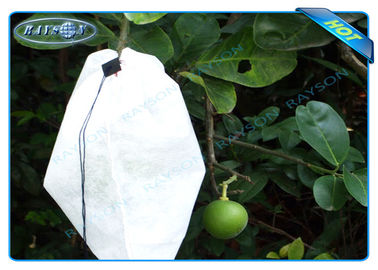 Nonwoven Agiculture Plant Grow Bags For Fruit Growth and Protection , Potato Grow Bags