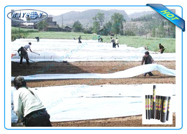 Degradable Weed Control Mat Made from Black or White Anti-UV Agriculture Non Woven Cover