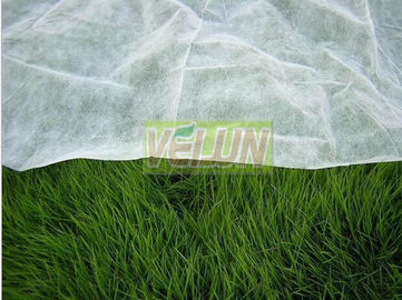 Eco-friendly Biodegradable Landscape Fabric Nonwoven for Agriculture