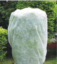 Agriculture Non Woven Cover Embossed 3% UV PP Spunbond