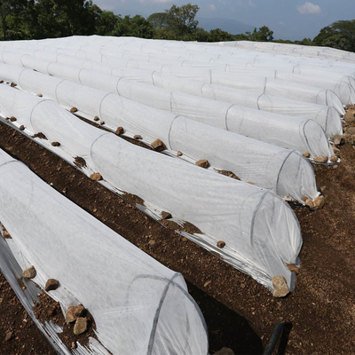 30gram &amp; 60gram White Non Woven Fabric For Agriculture And Plant Cover