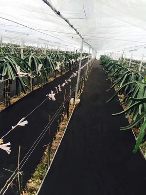 Uv Treated Nonwoven Fabric Film Greenhouse Or Weed Control