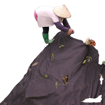 PP Spunbond Agriculture Non Woven Fabric For Weed Cover UV Treat