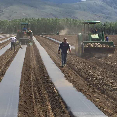 White Color Greenhouse Agriculture PP Non Woven Fabric Super Wide