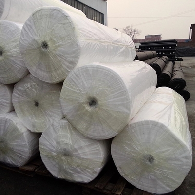 Heavy Duty Spunbond Agricultural Non Woven Fabric 100% Polypropylene