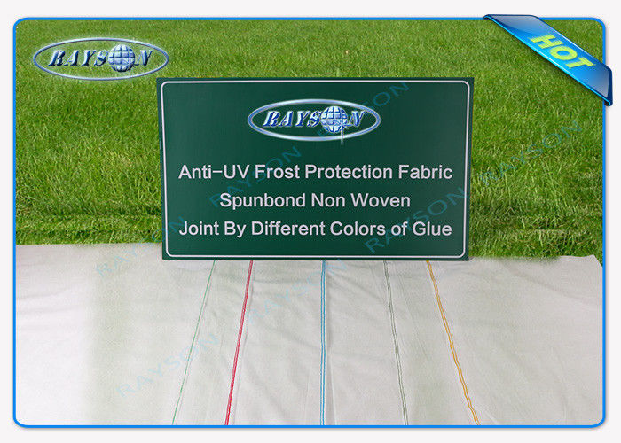 Professional Landscape Fabric Ground Weed Control Fabric With 10M / 20M / 25M