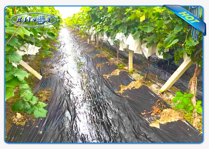 Enviro Vegetable Garden Weed Barrier Anti Uv Polypropylene Non Woven Enviro Vegetable Garden Weed Barrier Anti Uv Polypropylene Non Woven Ground Control Fabric