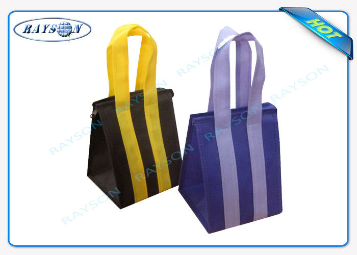 Custom Eco Promotional Long Handle PP Non Woven Fabric Bags With Zipper
