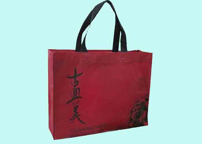 Large and Small Reusable Spunbond Printed PP Non Woven Bag for Shopping Mall and Retail Shop
