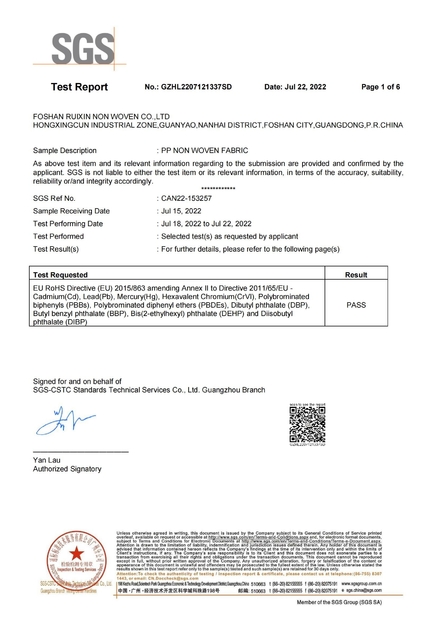 China Foshan Rayson Non Woven Co.,Ltd certification